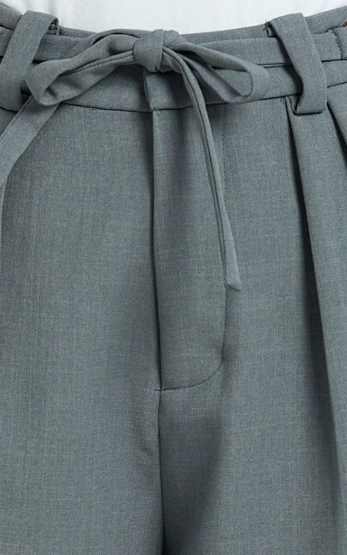 Frankie Pants - Low Rise Pleated Wide Leg Pant with Hardware Buckle in Grey