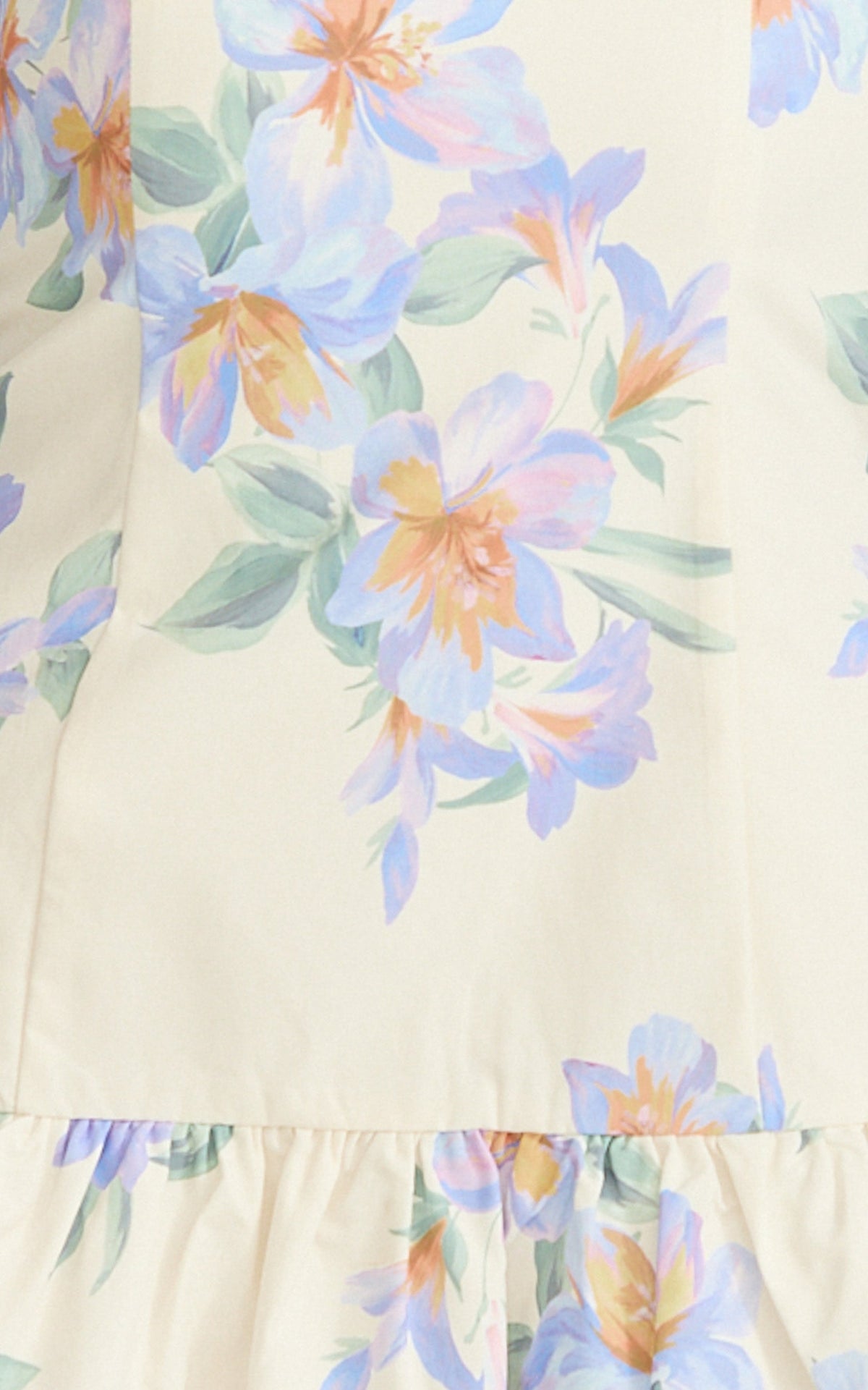 Astra Mini Dress - Balconette Bodice Drop Waist Dress in Astra Posey Floral Print
