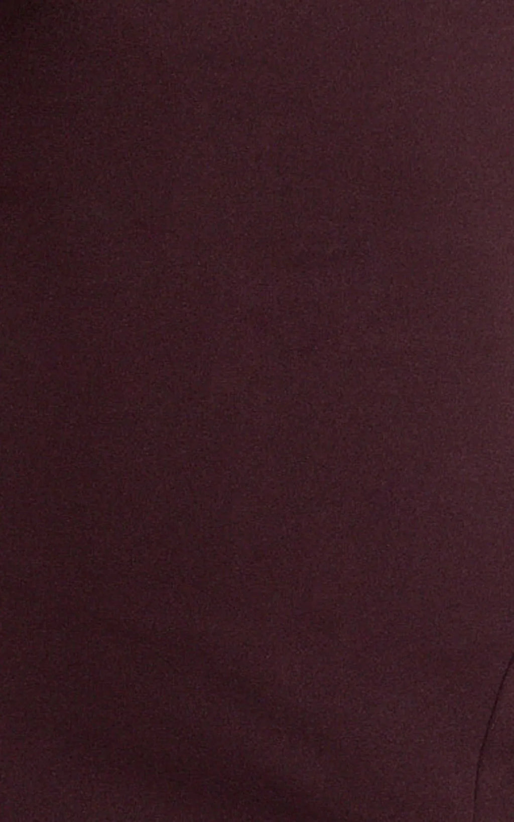 Raya Maxi Dress - Deep V Neck Low Back Bodycon Dress in Wine