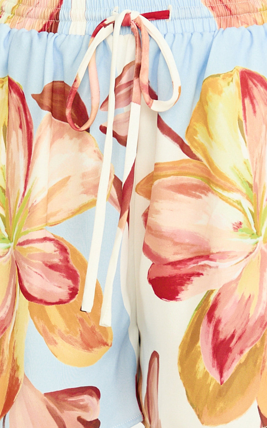 Robyn Shorts - Elastic Waist Relaxed Straight Leg Shorts in Retro Flower Border Print