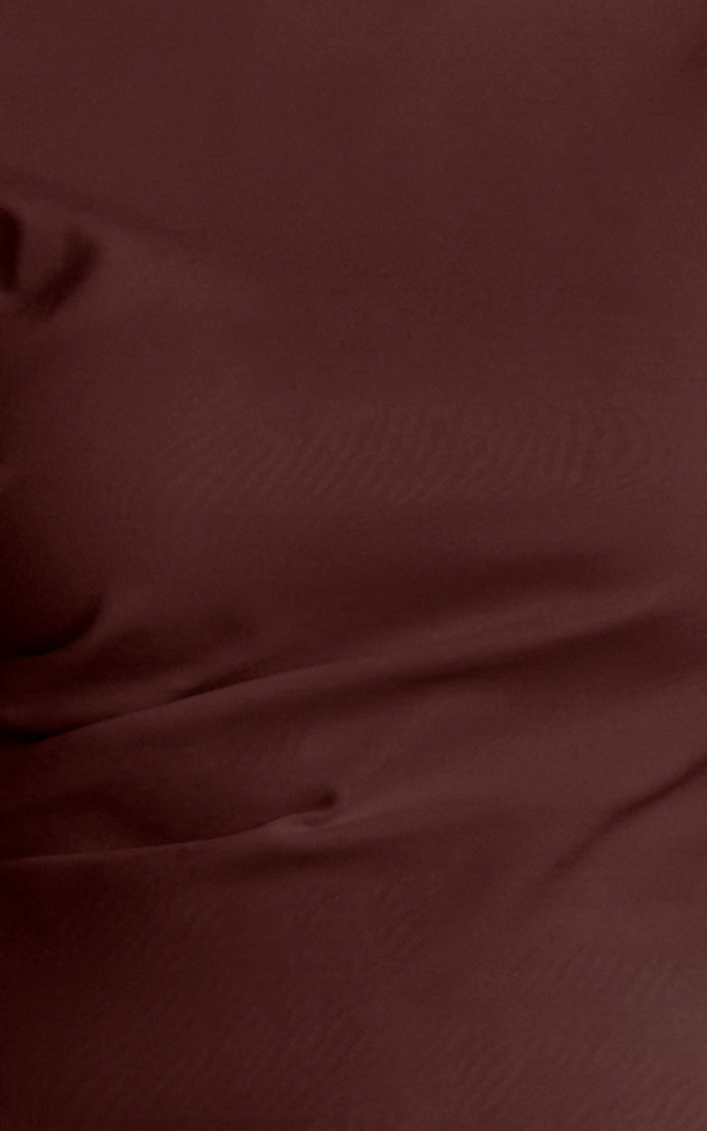 Rosalie Top - Asym Ruched Tshirt in Chocolate