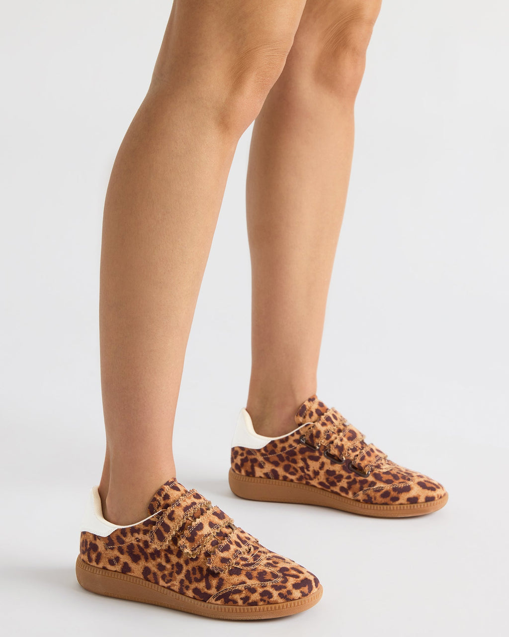 MOMENTUM LEOPARD