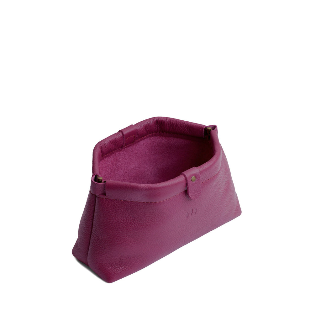 Famed Framed Pouch