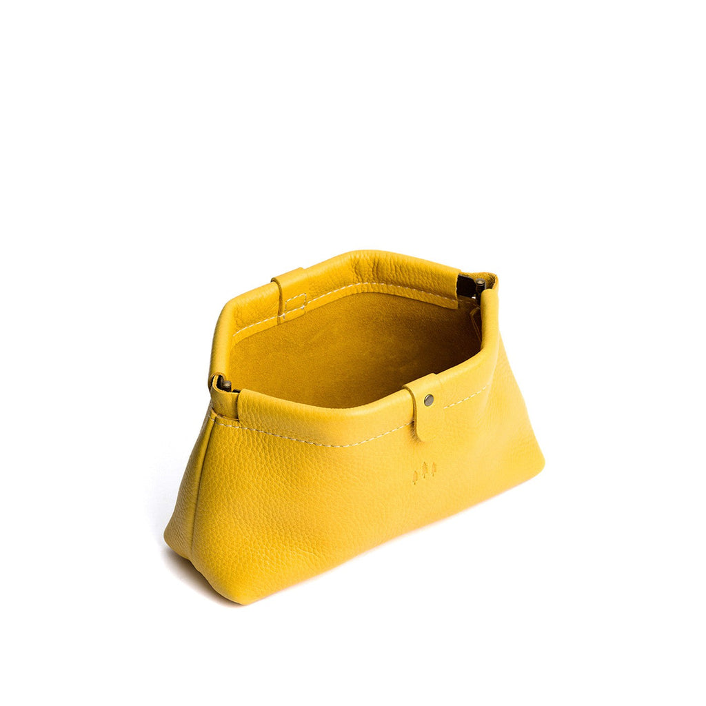 Famed Framed Pouch